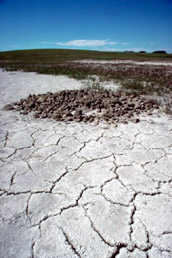 effetto serra